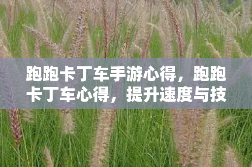 提升速度与技巧的全面指南图片