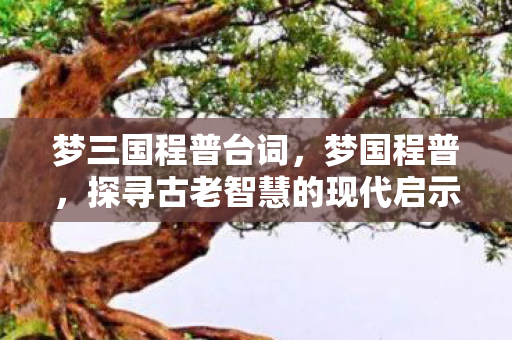 探寻古老智慧的现代启示图片