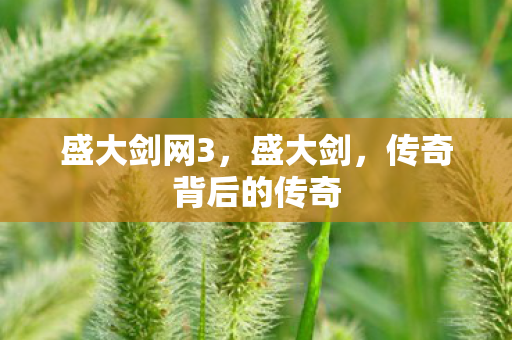 传奇背后的传奇图片