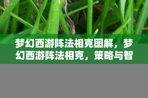 梦幻西游阵法相克图解图片