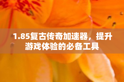 提升游戏体验的必备工具图片