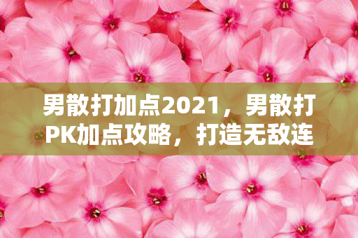 男散打加点2021图片