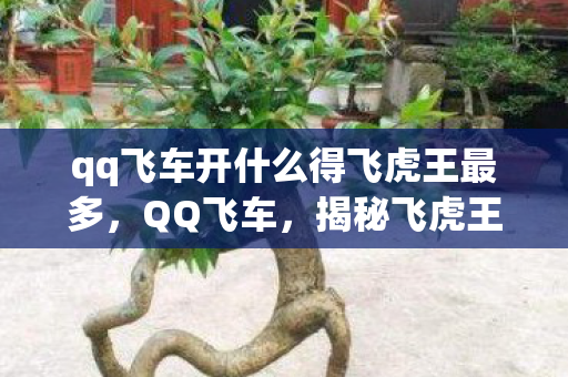 qq飞车开什么得飞虎王最多，QQ飞车，揭秘飞虎王的获取途径