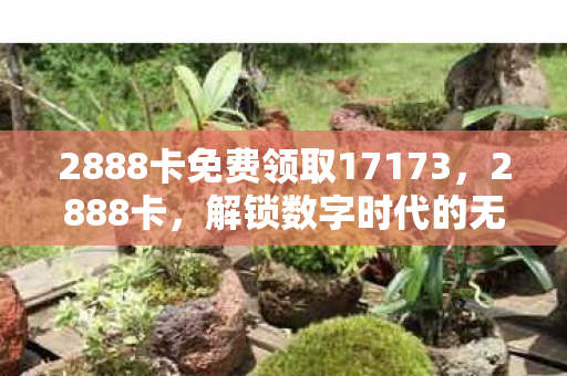 2888卡免费领取17173图片