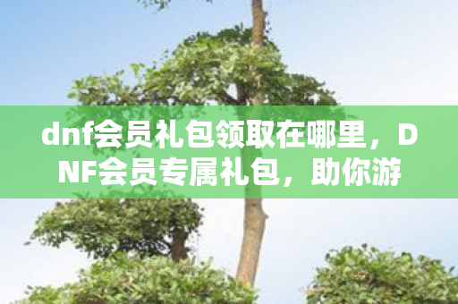 dnf会员礼包领取在哪里图片