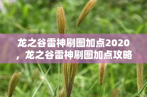 龙之谷雷神刷图加点2020图片