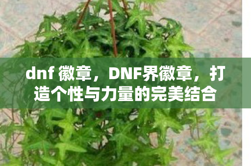 打造个性与力量的完美结合图片