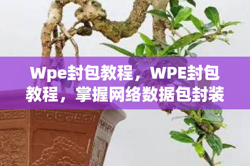 掌握网络数据包封装与解析技巧图片