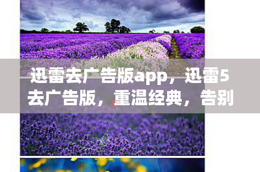 迅雷去广告版app图片