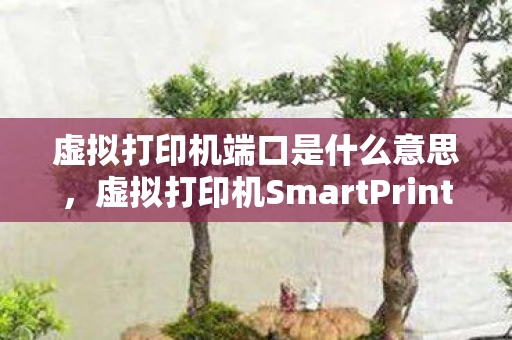 虚拟打印机SmartPrinter图片