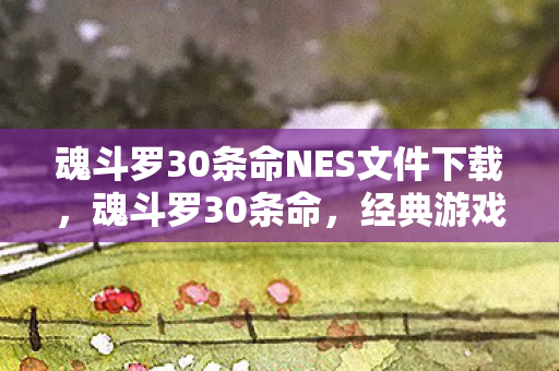魂斗罗30条命NES文件下载图片