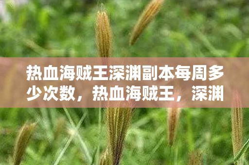 热血海贼王深渊副本每周多少次数图片