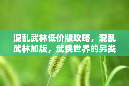 混乱武林低价版攻略图片