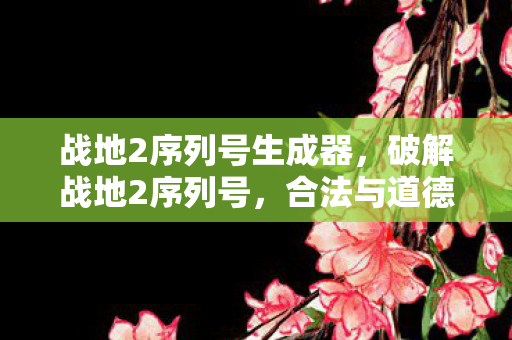 战地2序列号生成器图片