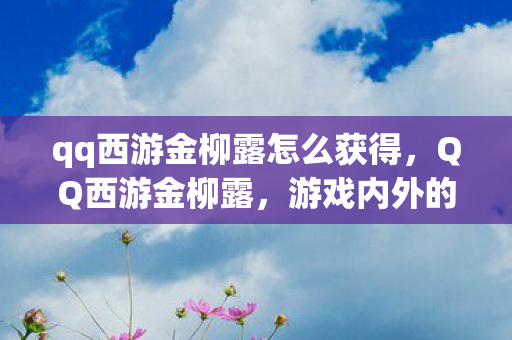 qq西游金柳露怎么获得，QQ西游金柳露，游戏内外的故事与探索