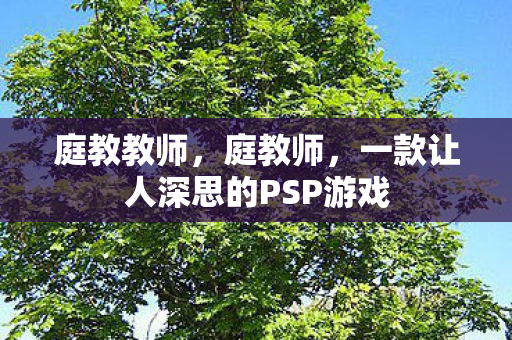 一款让人深思的PSP游戏图片