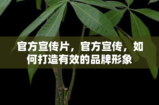 如何打造有效的品牌形象图片