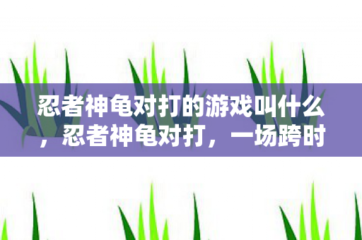 忍者神龟对打的游戏叫什么图片