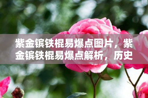 紫金镔铁棍易爆点图片，紫金镔铁棍易爆点解析，历史、文化与技术交织的传奇