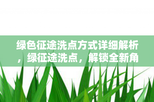 绿色征途洗点方式详细解析，绿征途洗点，解锁全新角色，探索无限可能