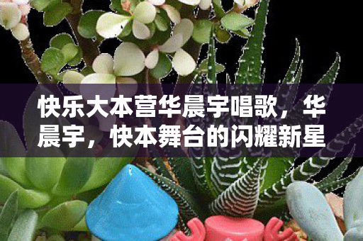 快乐大本营华晨宇唱歌图片