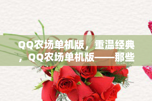 那些年我们一起种过的菜图片