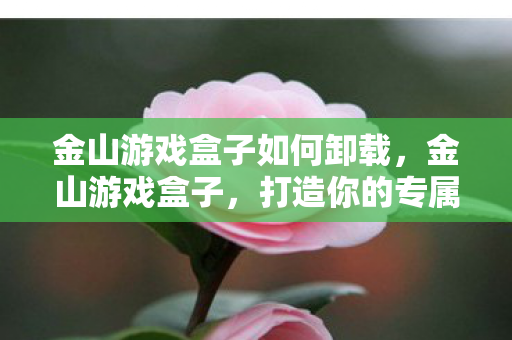 金山游戏盒子如何卸载图片