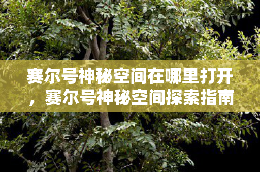 赛尔号神秘空间在哪里打开图片