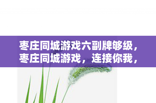 枣庄同城游戏六副牌够级图片