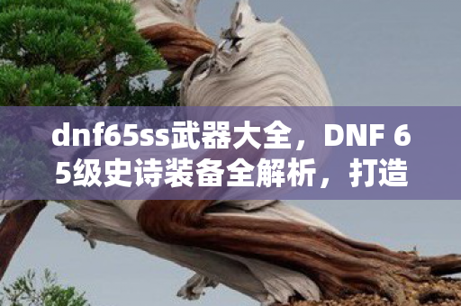 DNF 65级史诗装备全解析图片
