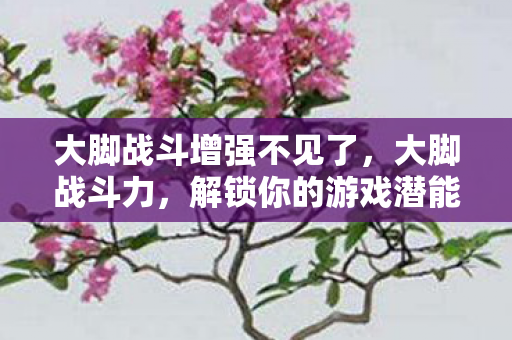 大脚战斗增强不见了图片