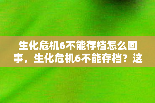 生化危机6不能存档怎么回事图片