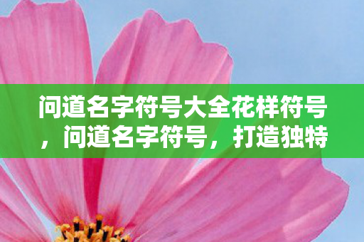 问道名字符号大全花样符号图片