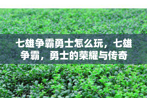 七雄争霸勇士怎么玩图片