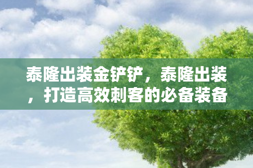 打造高效刺客的必备装备指南图片