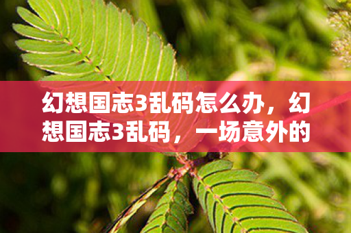 幻想国志3乱码怎么办图片