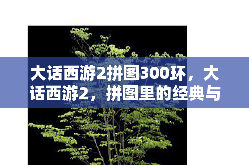 大话西游2拼图300环图片