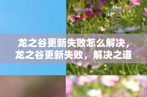 解决之道与游戏维护的重要性图片