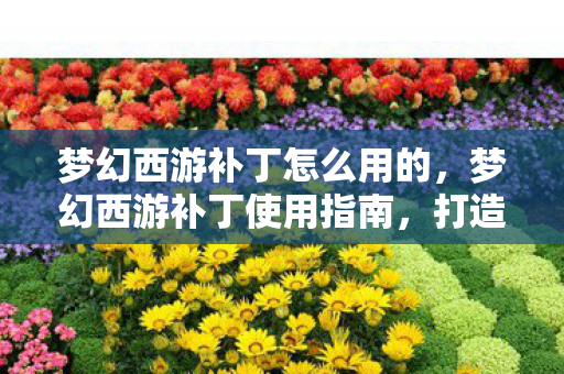 梦幻西游补丁怎么用的图片