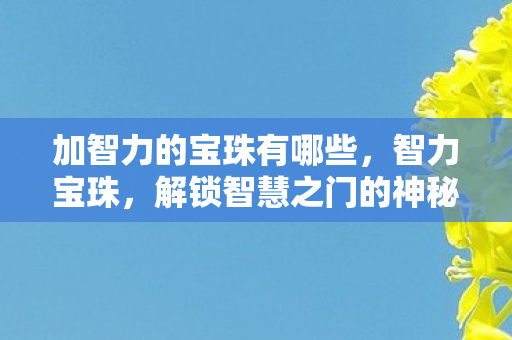 解锁智慧之门的神秘钥匙图片