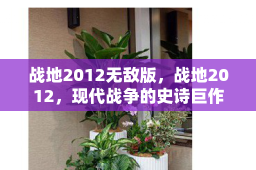 战地2012无敌版图片