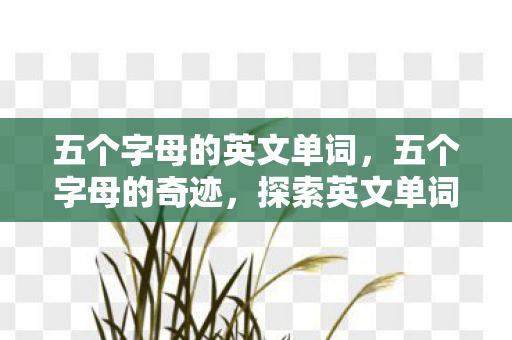 五个字母的英文单词图片