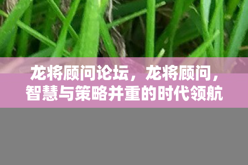 智慧与策略并重的时代领航者图片