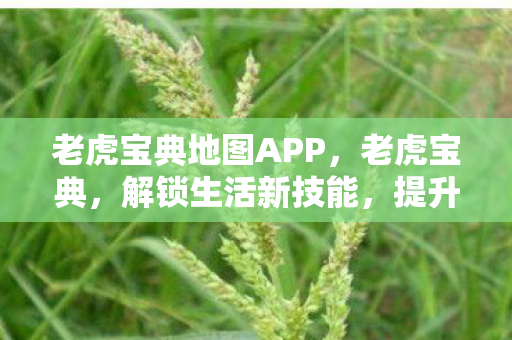 老虎宝典地图APP图片