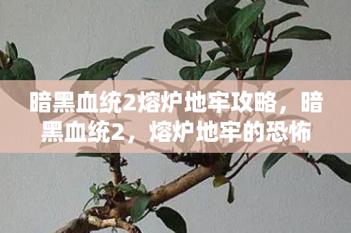 暗黑血统2熔炉地牢攻略图片