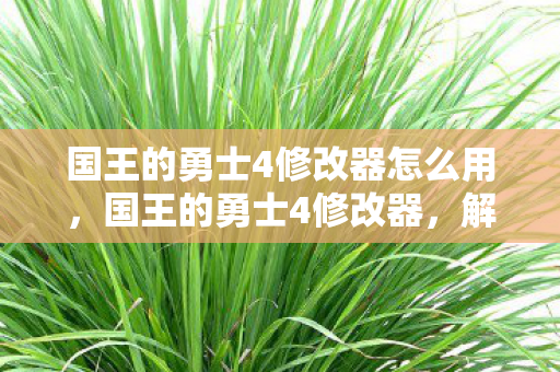 国王的勇士4修改器怎么用图片