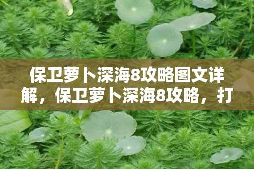 保卫萝卜深海8攻略图文详解图片