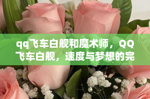 qq飞车白舰和魔术师，QQ飞车白舰，速度与梦想的完美融合