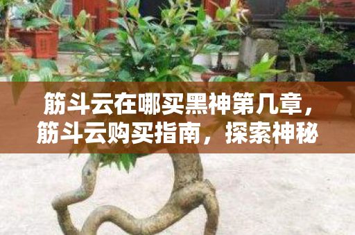 筋斗云在哪买黑神第几章图片