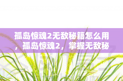 孤岛惊魂2无敌秘籍怎么用图片